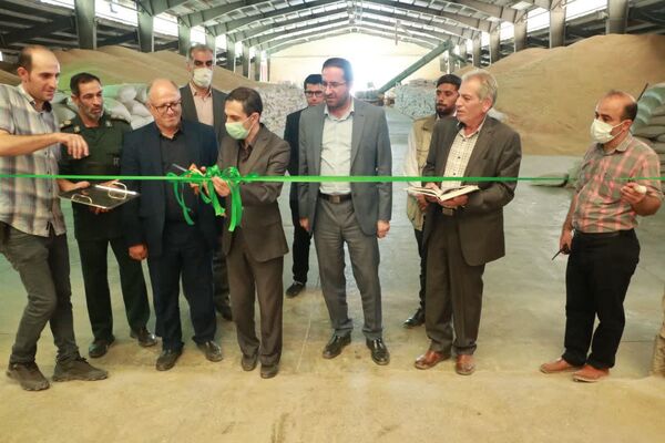 آیین آغاز فرآوری و بوجاری گندم دیم سال زراعی آینده در تاکستان