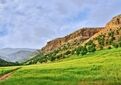زاگرس، ستون آب و تنوع زیستی ایران| اینفوگرافیک