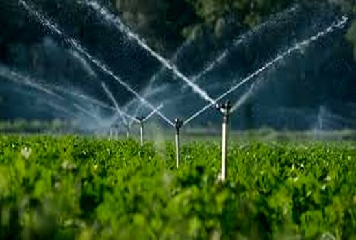 100 درصد اعتبارات مصوب سفر رییس‌جمهور در توسعه سیستم‌های آبیاری نوین خراسان شمالی تخصیص یافت