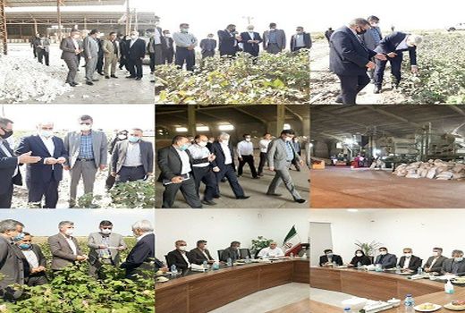 بازدید معاون امور زراعت وزیر جهاد کشاورزی از کارخانه پنبه خاوردشت