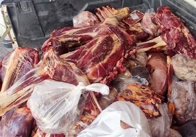 ۸۷ تن فرآورده دامی غیربهداشتی در قزوین ضبط و معدوم شد