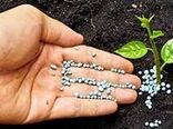 توزیع  6100 تن کود ازت بین کشاورزان استان بوشهر