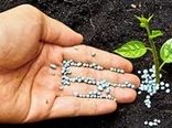 توزیع  6100 تن کود ازت بین کشاورزان استان بوشهر