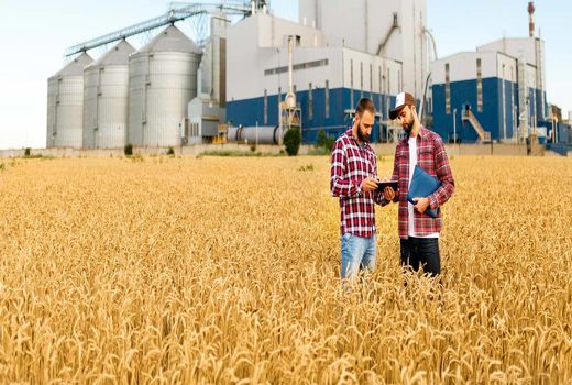 کشت قراردادی؛ گامی در راستای رشد کشاورزی