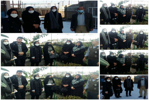 جذب 2550 میلیون ریال تسهیلات مشاغل خانگی در بخش کشاورزی شهرستان جلفا