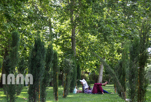 استراحت در پارک