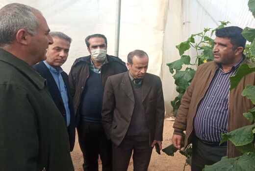 سرمایه گذاری 63 میلیارد ریالی برای گشایش یک گلخانه در سپیدان