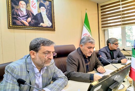 ایجاد فضای سبز از برنامه های اساسی سازمان جنگل‌ها