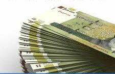۱۳۴ میلیارد تومان تسهیلات تبصره ۱۸ به بخش کشاورزی استان تهران پرداخت شد