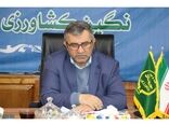 خرید 60 هزارتن گندم در مازندران
