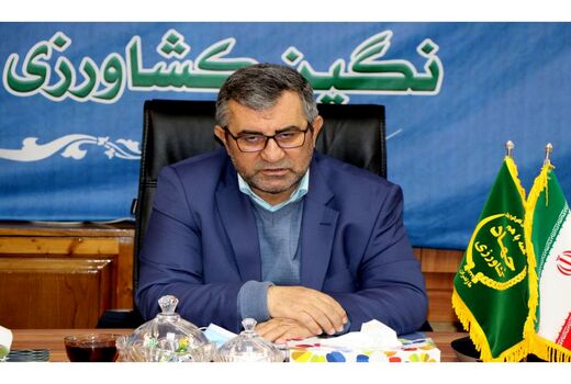 خرید 60 هزارتن گندم در مازندران
