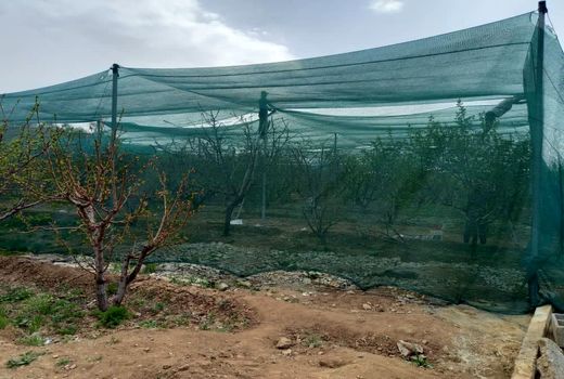 اجرای طرح پایلوت 