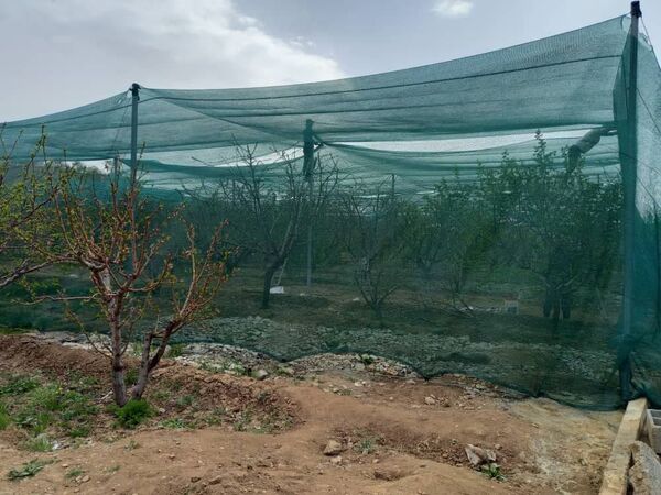 اجرای طرح پایلوت "سایه‌بان باغی" برای خشکسالی پیش رو در آذربایجان شرقی