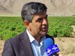 ۲۱ هزار هکتار از اراضی ملی استان چهارمحال و بختیاری به مستثنیات اشخاص افزوده شد
