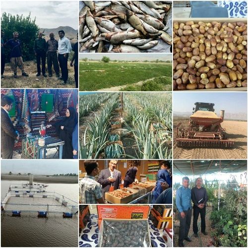 قیروکارزین پیشتاز در تحقق اهداف اقتصاد مقاومتی