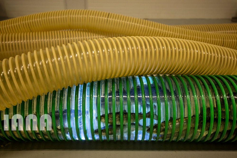 انقلاب غذا در اروپا