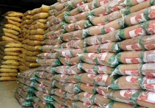 توزیع ۱۰۰۰ تن برنج با قیمت ستاد تنظیم بازار در استان بوشهر آغاز شد 