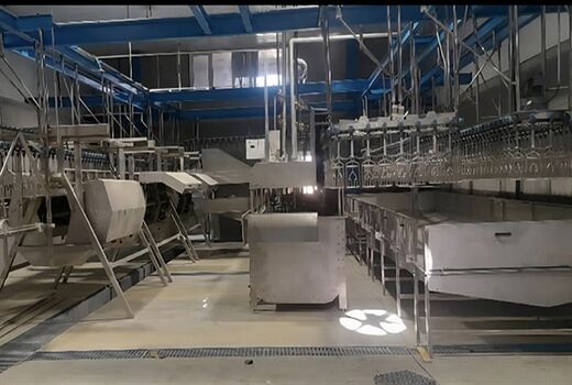 بهره برداری از کشتارگاه صنعتی طیور در استان کردستان با حمایت بانک کشاورزی