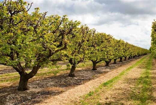   ۱۰ ایستگاه پیش‌آگاهی مدرن در سال 1403 در نقاط مختلف کشور راه‌اندازی شد/ راه اندازی 5 ایستگاه در سال 1404