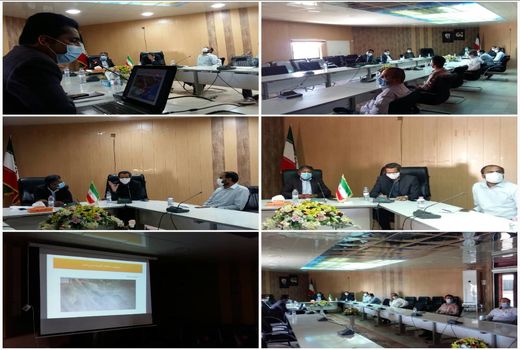 برگزاری جلسه مدیریت بحران با محوریت احتمال ریزش ملخ صحرایی در میناب