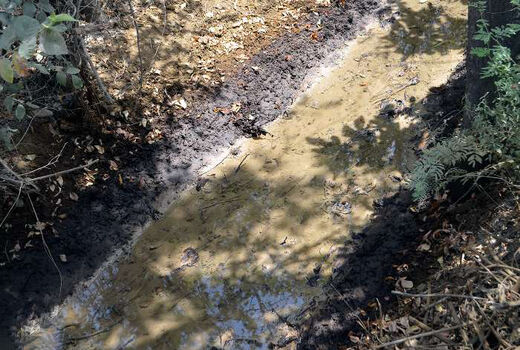 جهاد کشاورزی تهران خواستار پیگیری آلودگی نفتی زمین‌های باقرشهر شد