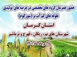 تأمین علوفه دام با توسعه کشت گیاه علوفه ای کم آب بر سورگوم