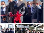 افتتاح بزرگ‌ترین مزرعه پرورش و تکثیر ماهیان زینتی در استان البرز   