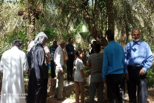 ترغیب کشاورزان آبادانی به روش‌های غیر شیمیایی در نخیلات