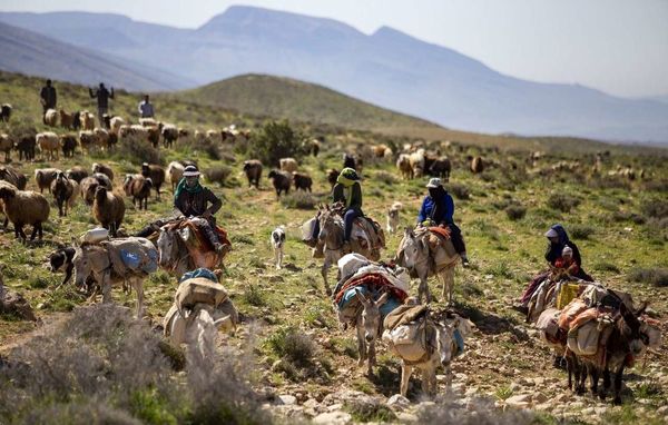 ۱۴ طرح عشایری در اصفهان به بهره‌برداری رسید