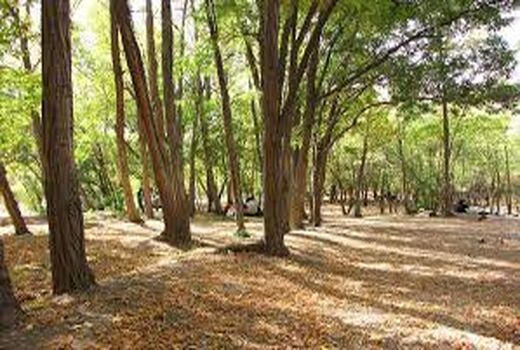 واگذاری مدیریت پارک‌های جنگلی چهارمحال و بختیاری به بخش غیردولتی 