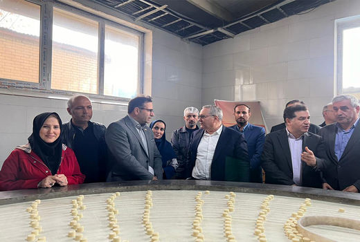 همکاری با بخش خصوصی با هدف رفع نیازمندی‌های فنآورانه شرکت‌ها از اولویت‌های اصلی پژوهشگاه است