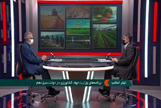تعیین قیمت 7500 تومانی گندم برای سال زراعی جدید