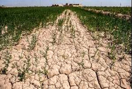 پرداخت تسهیلات خشکسالی در شهرستان دیر