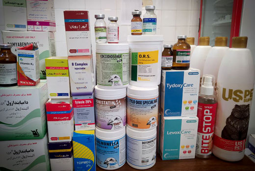 کشف و ضبط 14 قلم داروی تاریخ مصرف گذشته در داروخانه‌های دامپزشکی اهواز