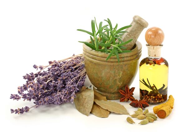 احداث نخستین کلکسیون گیاهان دارویی در ابهر
