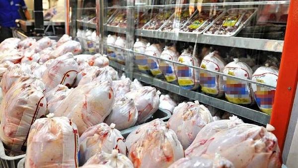 بازار مرغ چهارمحال و بختیاری به آرامش رسید