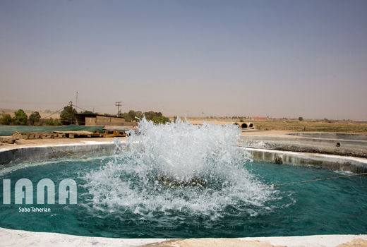 افزایش 35 درصدی بهره‌وری با استخرهای آبیاری