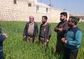 از مزرعه الگویی تا کشاورزی بهره‌ور؛ تات به دنبال پر کردن شکاف عملکردی تولید