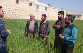 از مزرعه الگویی تا کشاورزی بهره‌ور؛ تات به دنبال پر کردن شکاف عملکردی تولید