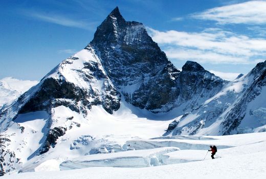 تهدید تنوع زیستی بی مهرگان در آلپ بر اثر ذوب یخچال‌های طبیعی