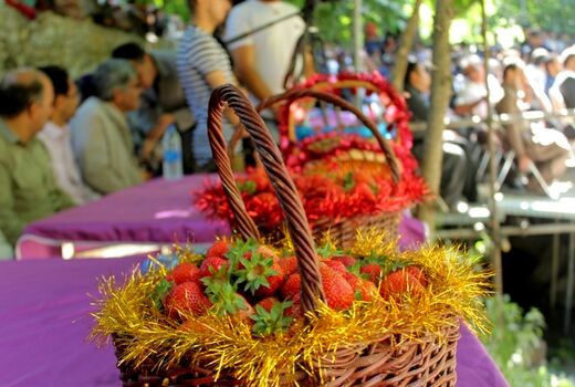 جشنواره توت فرنگی کردستان