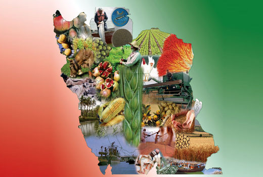 ​کشاورزان جهان آب می‌روند