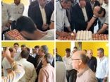 بازدید مشاور وزیر جهادکشاورزی از زنجیره تولید تخم مرغ چیکا طلایی در گنبد
