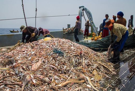 اشتغال ۱۶۰ خانواده صیاد بومی  در شهرستان مهستان سیستان و بلوچستان