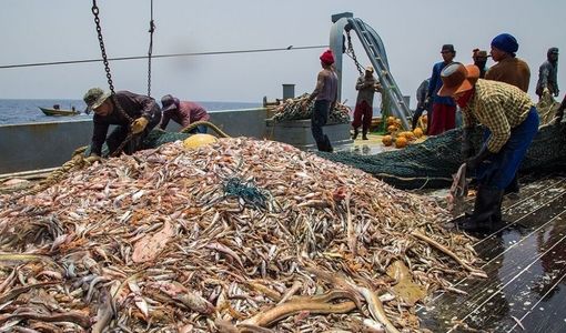 اشتغال ۱۶۰ خانواده صیاد بومی  در شهرستان مهستان سیستان و بلوچستان