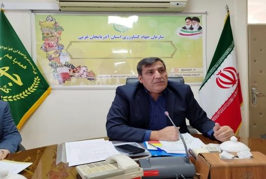 اجرای رفع تداخلات در ۶۴ درصد اراضی کشور