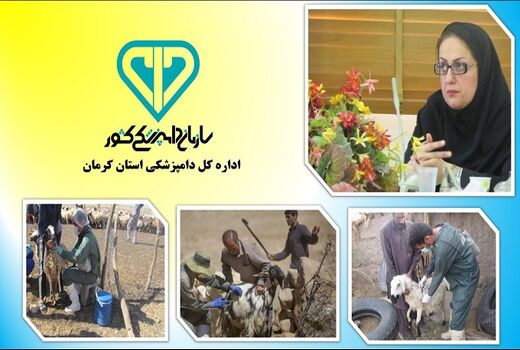 واکسیناسیون بیش از سه میلیون راس دام استان برعلیه طاعون نشخوارکنندگان کوچک