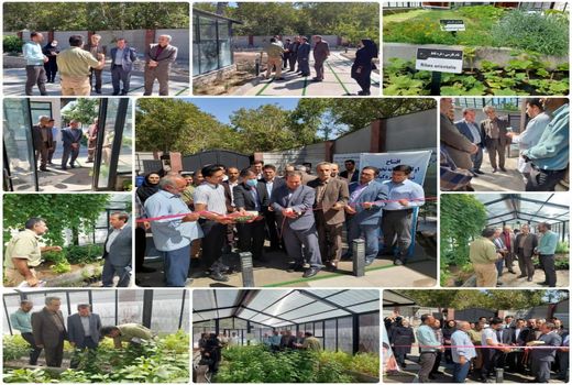  افتتاح نخستین گلخانه کشت بافت گیاهان داروئی  استان در اسکو به مناسبت هفته دولت 
