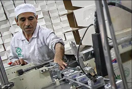 توسعه سبد محصولات لبنی کشت و صنعت مغان