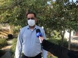 هرمزگان رتبه نخست در اجرای سامانه‌های آبیاری تحت فشار در کشور